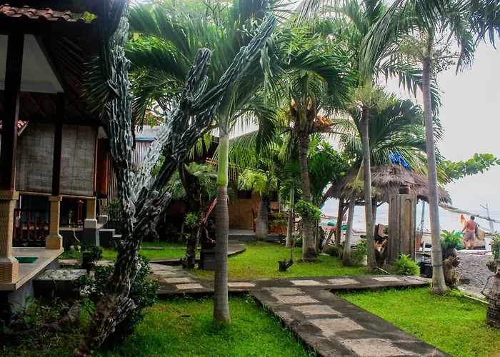 Coconut & Warung 2 * アメッド