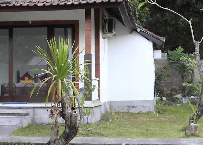 Coconut & Warung 2 ホテル アメッド